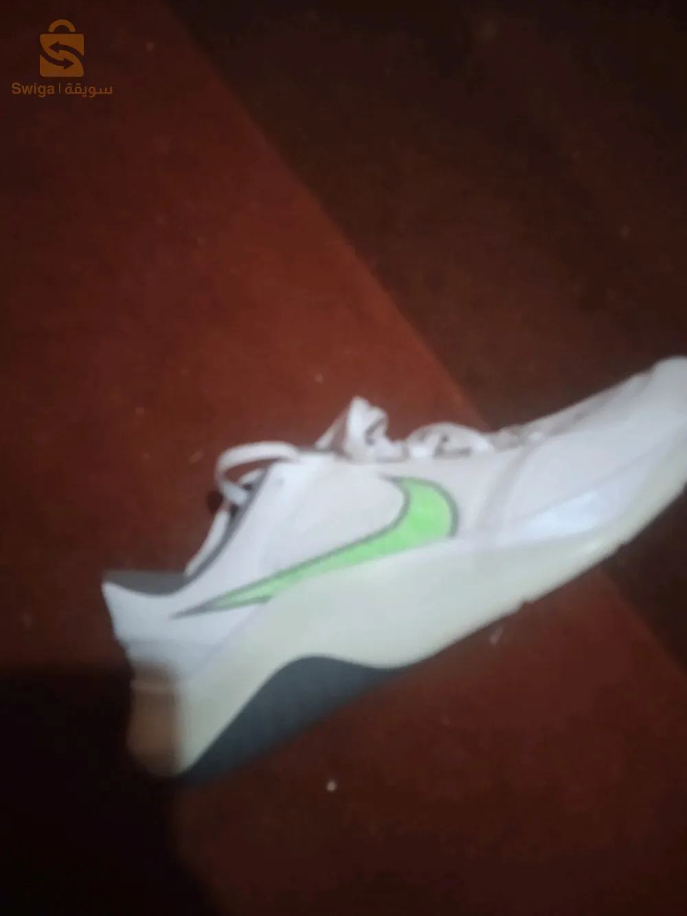 بىر الجير  وهران