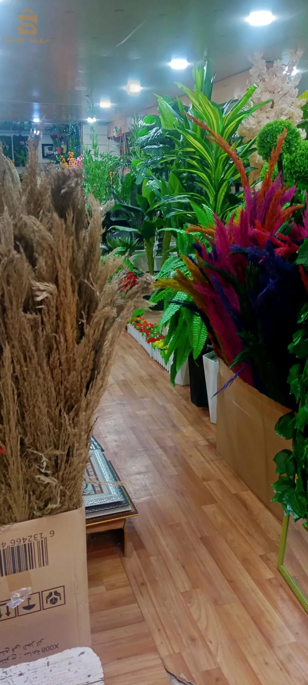 ديكورات المنزل...لوحات،مرايا و أشجار اصطناعية