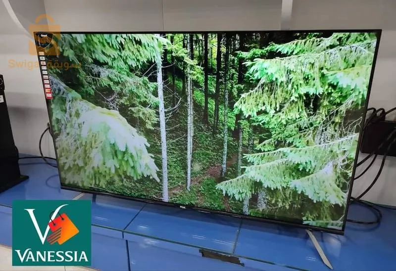 Télévision géant 50p smart