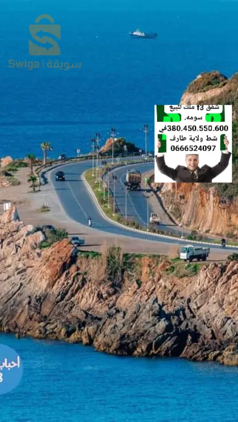 حي 800 سكن