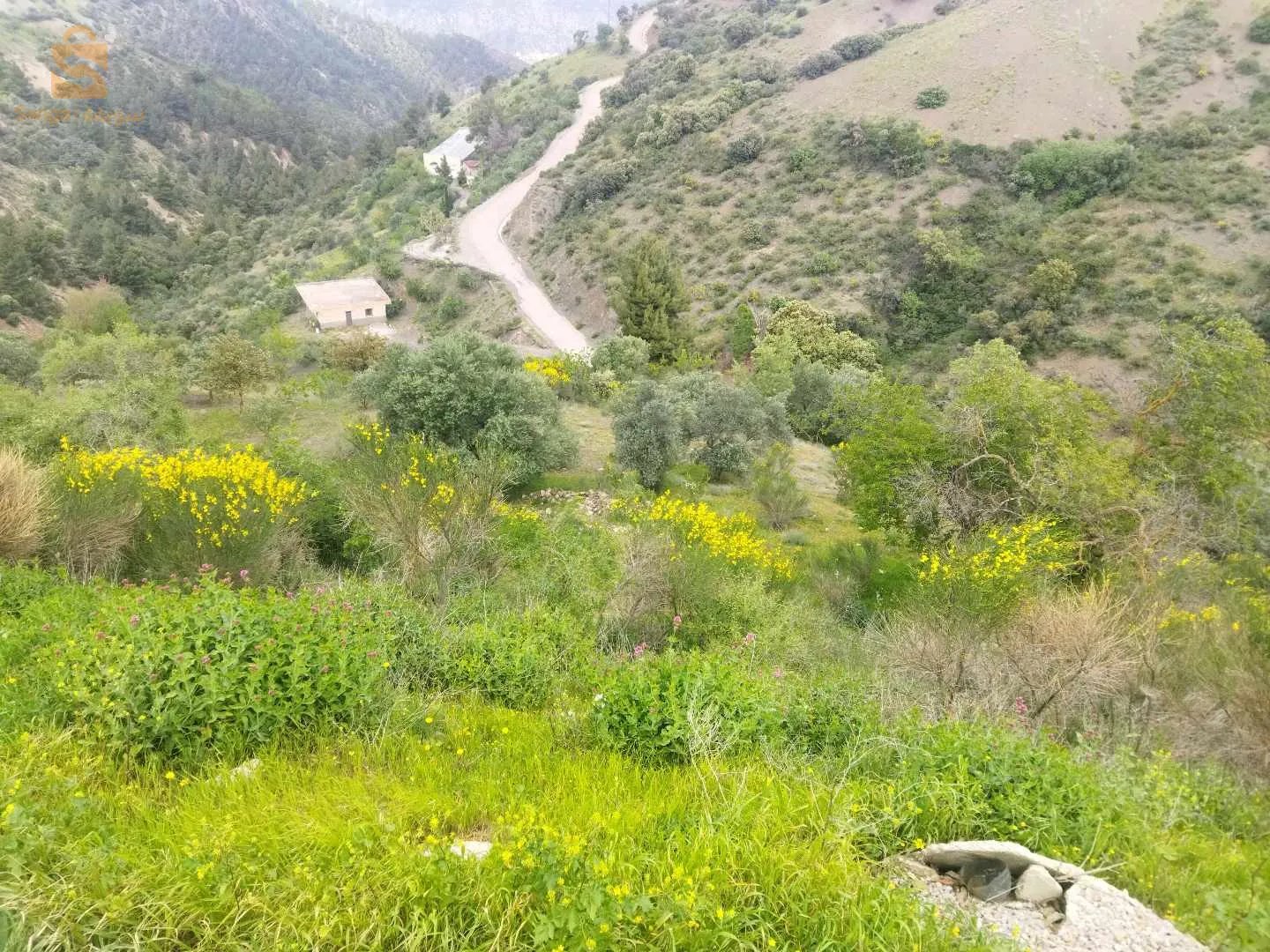 Terrain a beni ourtilene avec acte notarié place commercial bon place 4128