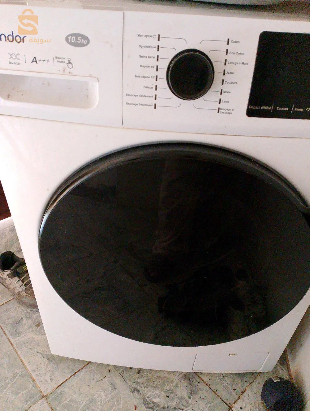 الشبلب_بليدة