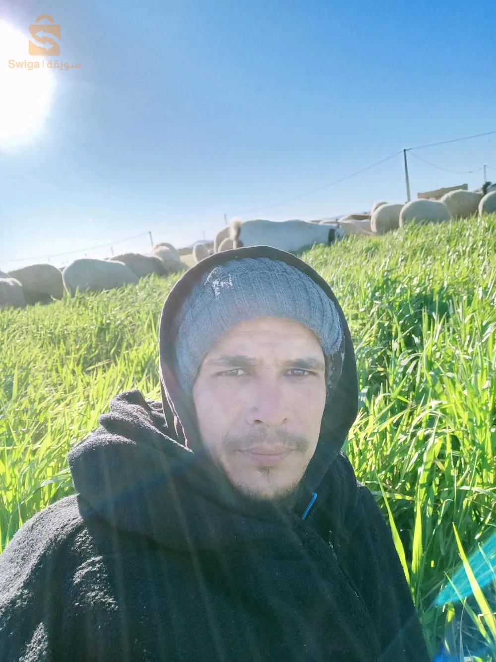 طريق خنشلة الشريعة