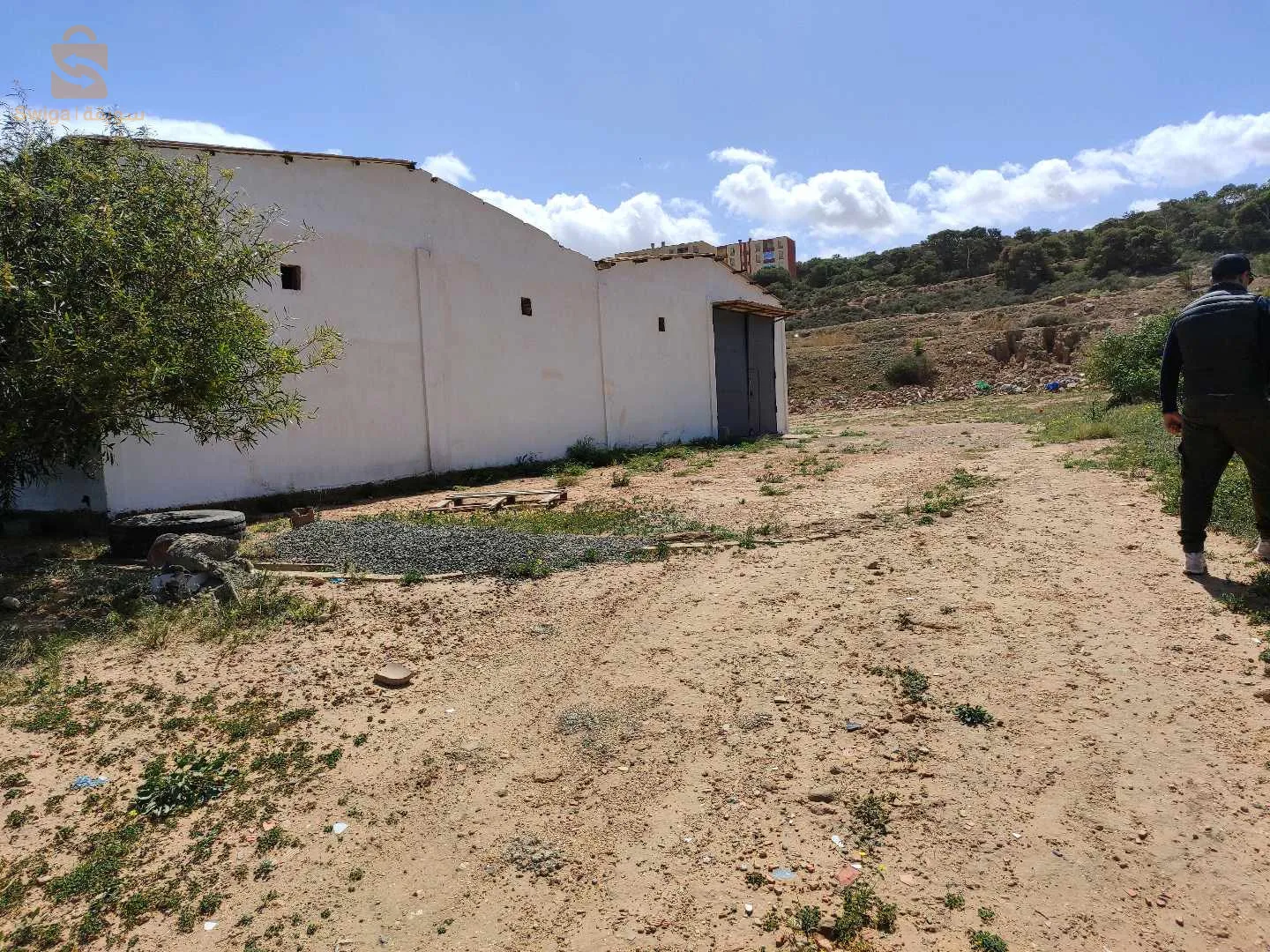 vente 1 hectares urbanisable avec hangar