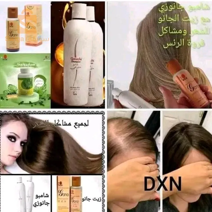 الجزائر