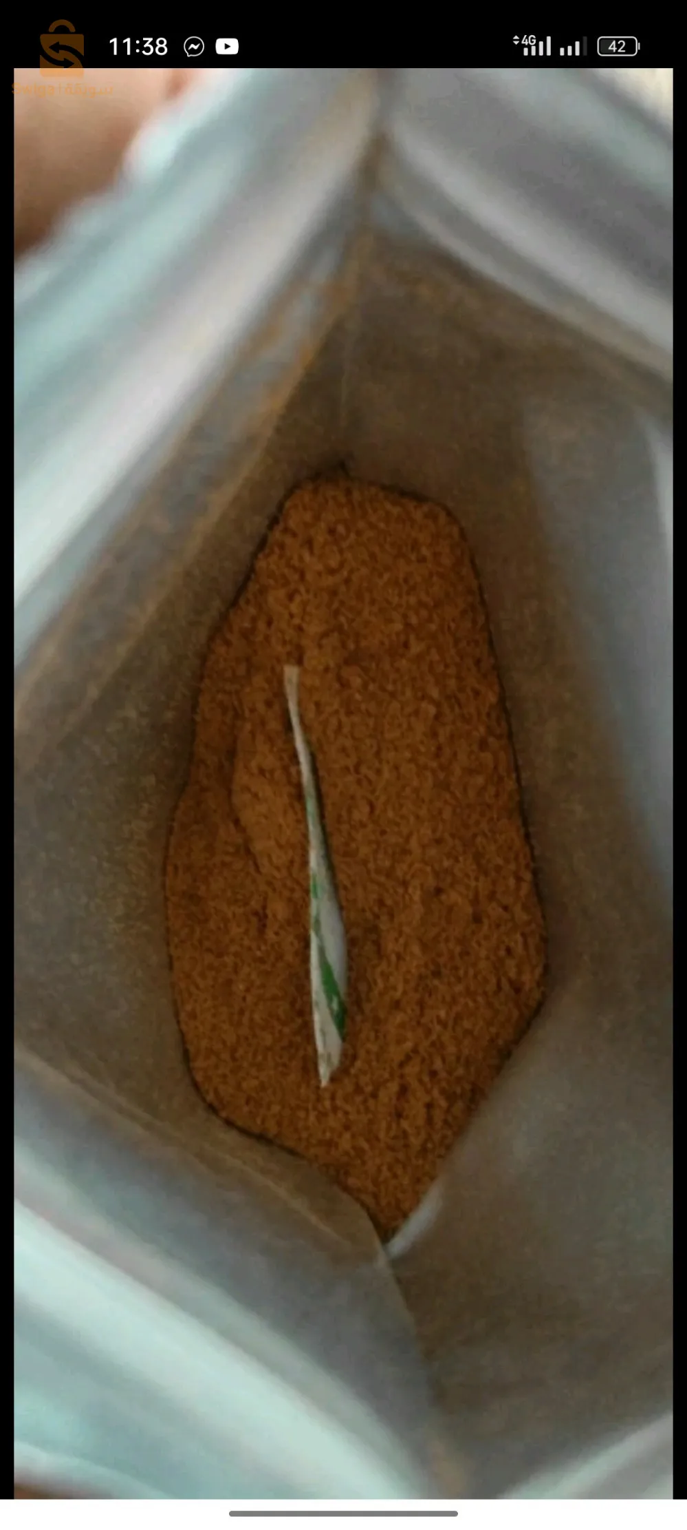 Artemia pour poisson