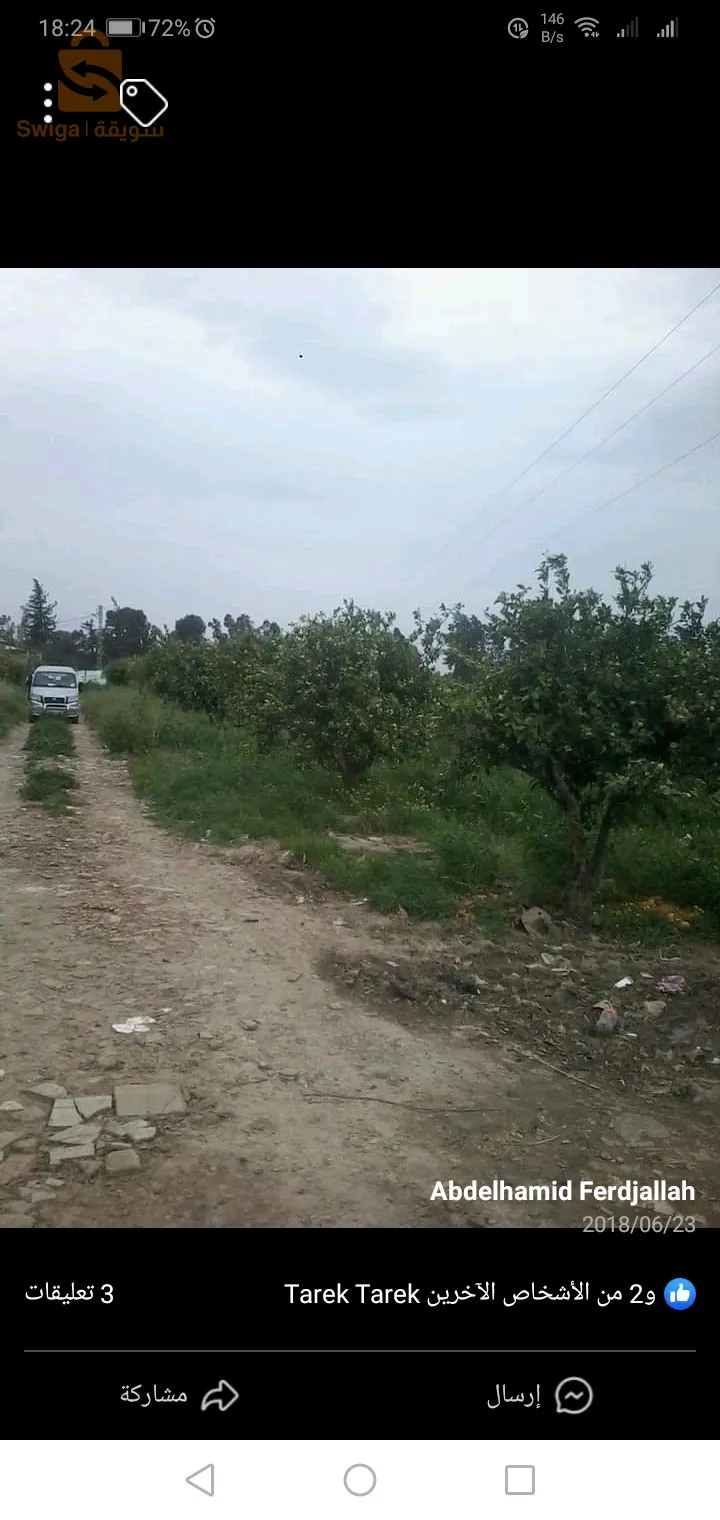 طولقة ولاية بسكرة