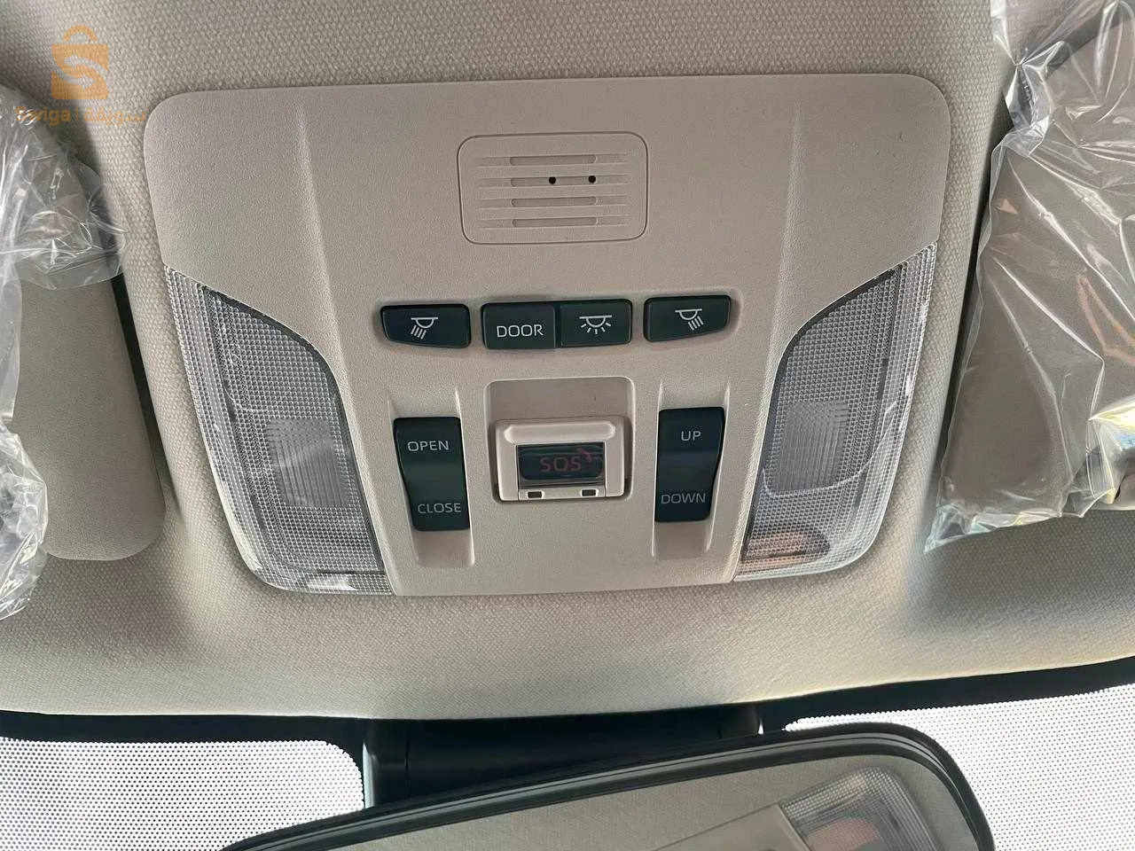 معروض