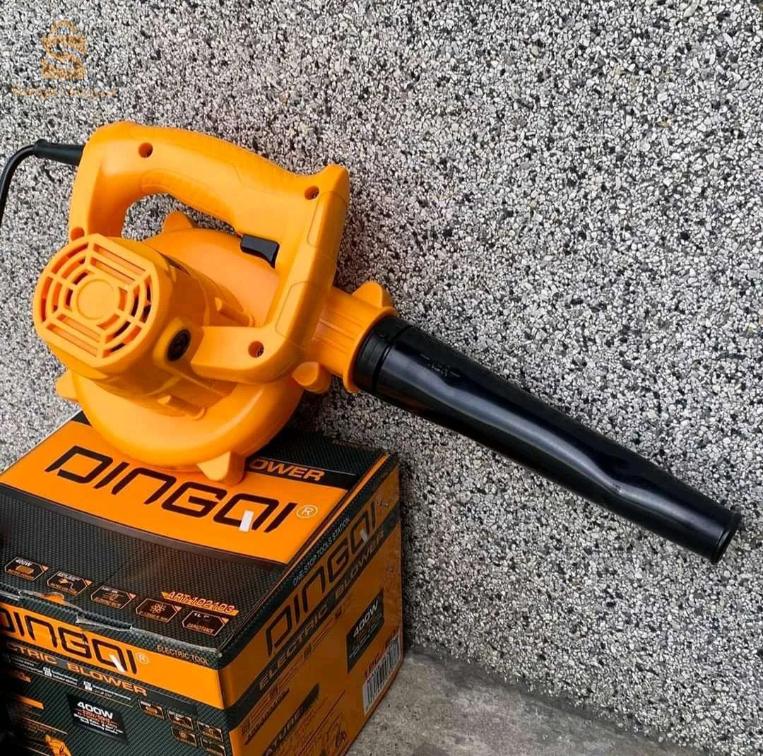 souffleur aspirateur DINGQI 400W
