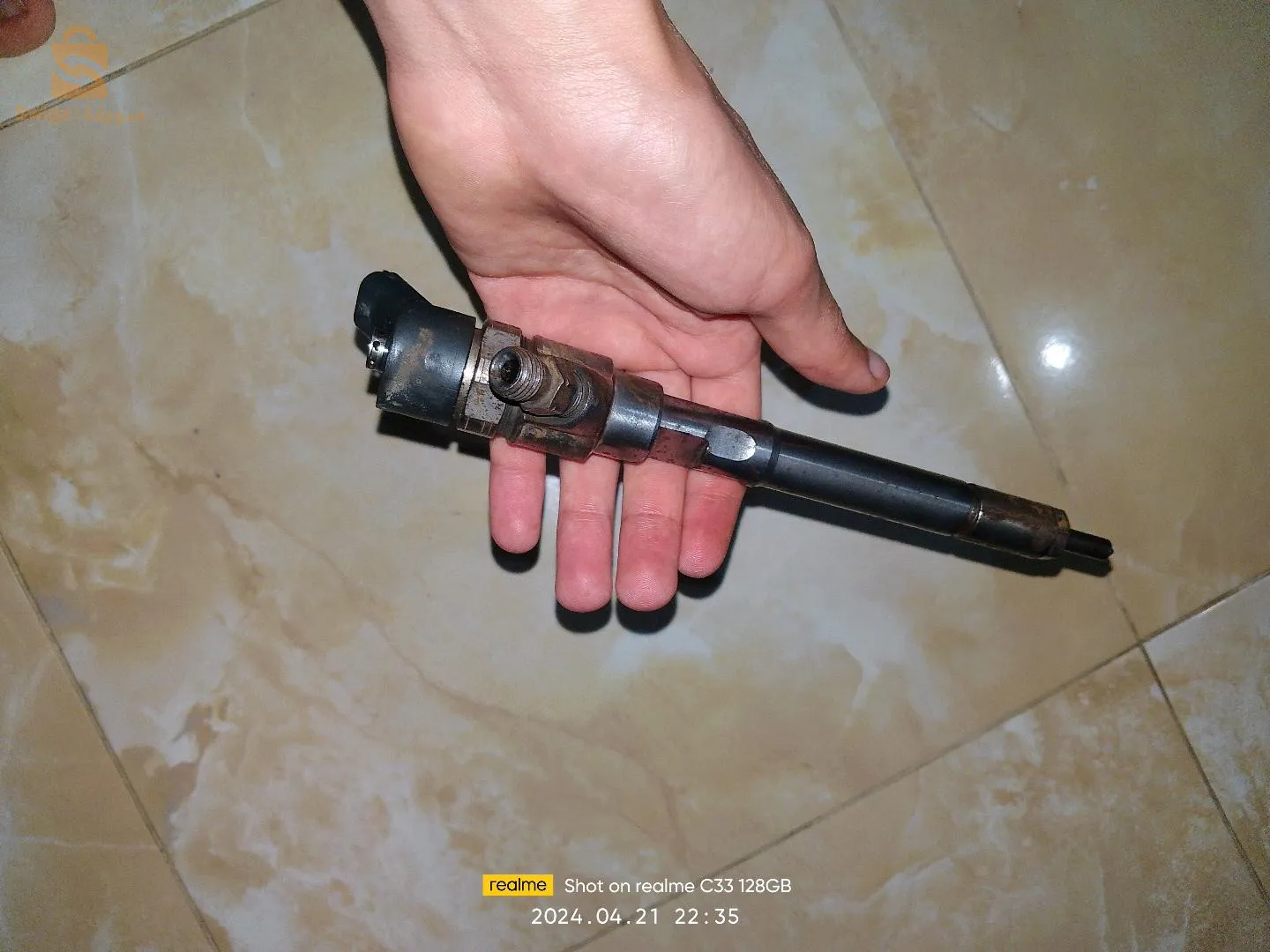 أنجيكتور كروز شوفرولي