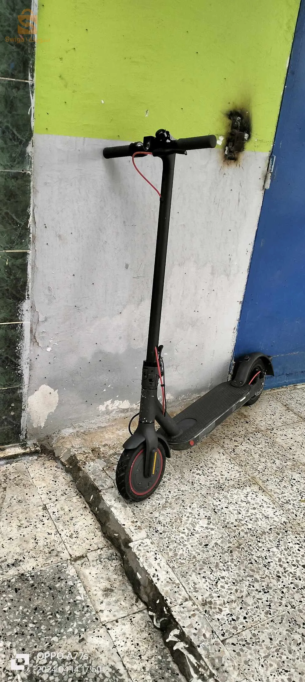 سكيكد