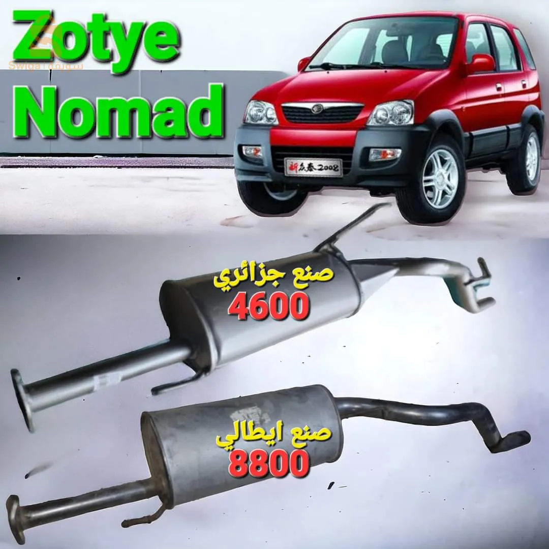 تركيب الشكمانات والكتاليزار وتنظيف وبرمجة FAP