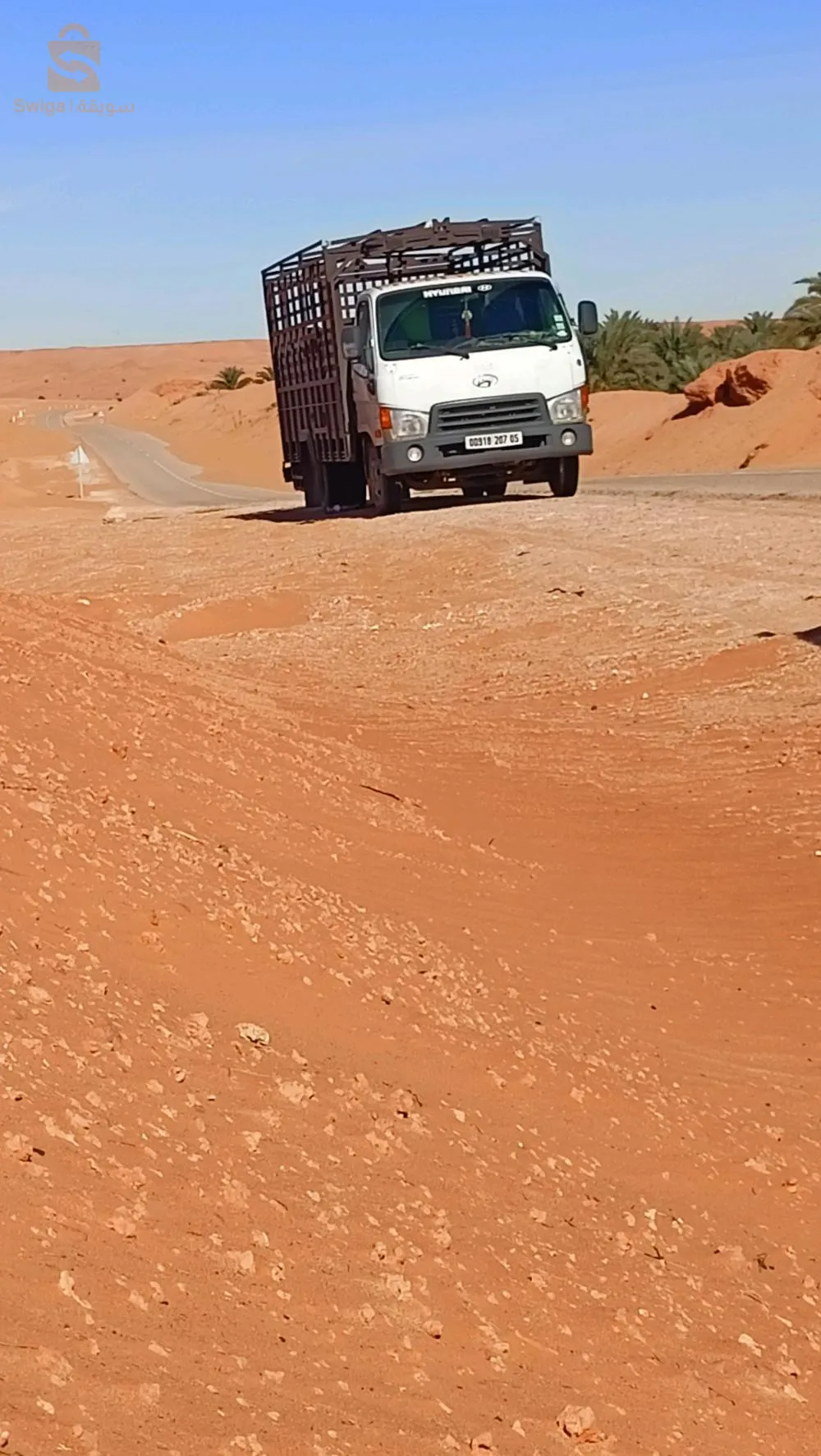 جديد