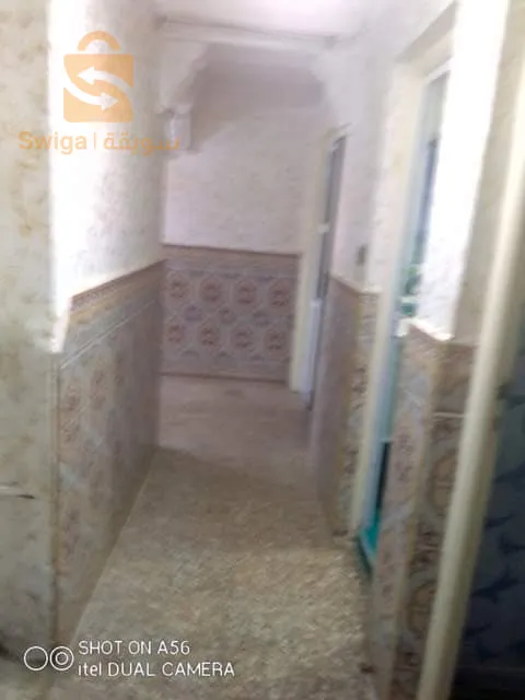 حي 800سكن شط ولاية طارف