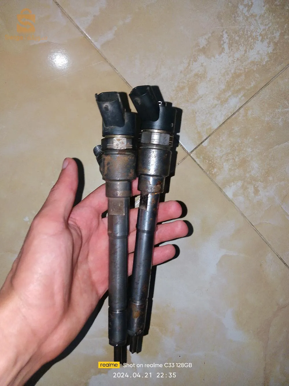 أنجيكتور كروز شوفرولي