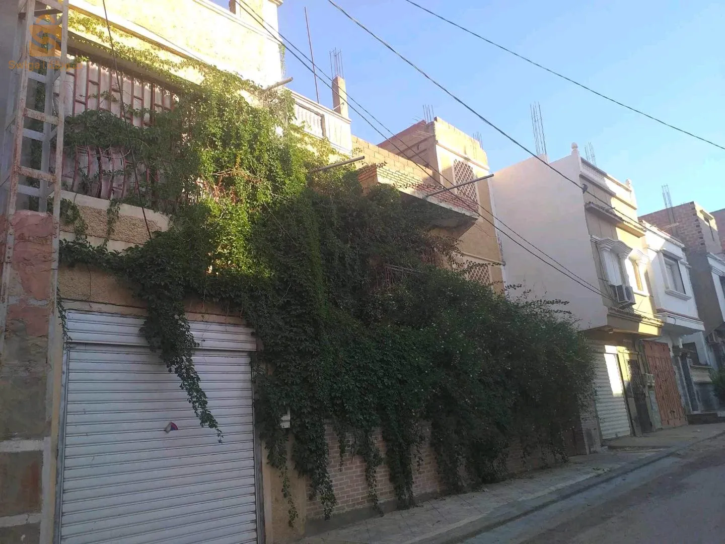 خنشلة