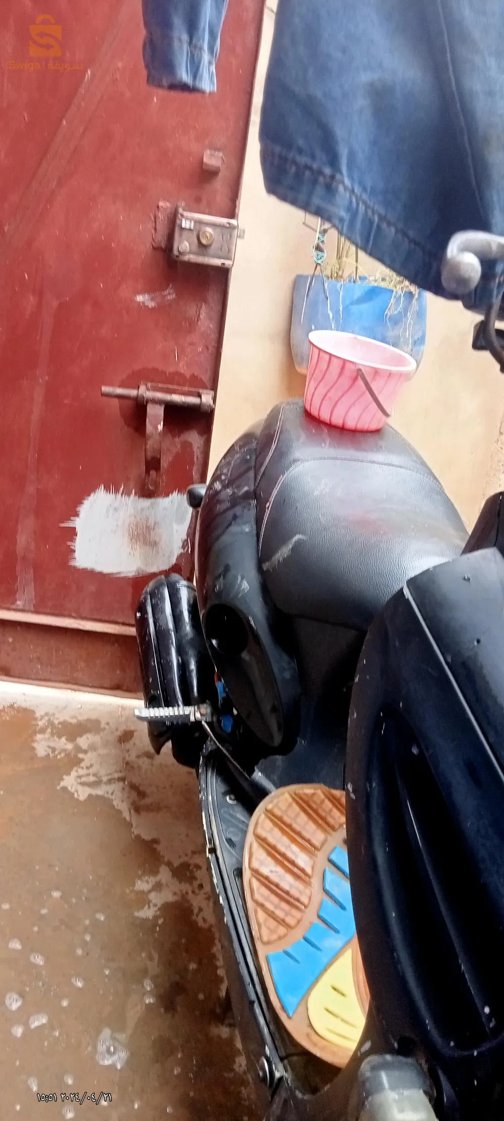 وهران ارزيو