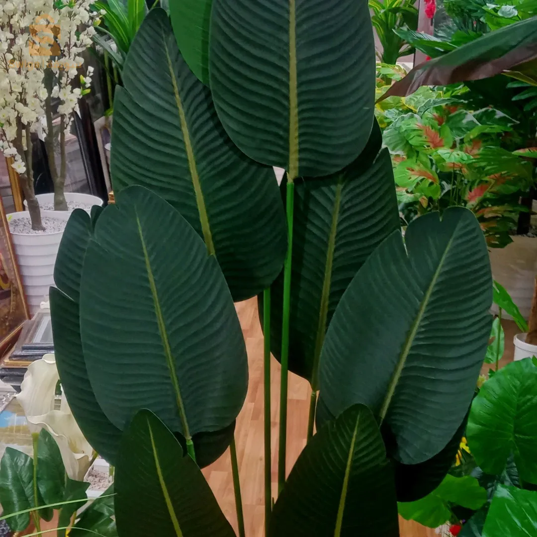 Décoration d'intérieur, tableaux, miroir,plantes et arbres artificiels