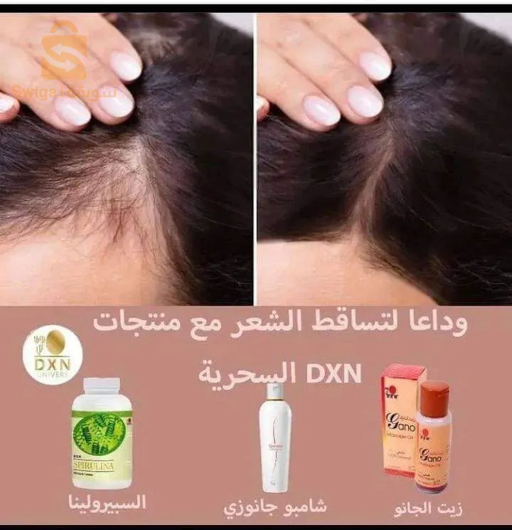 الجزائر