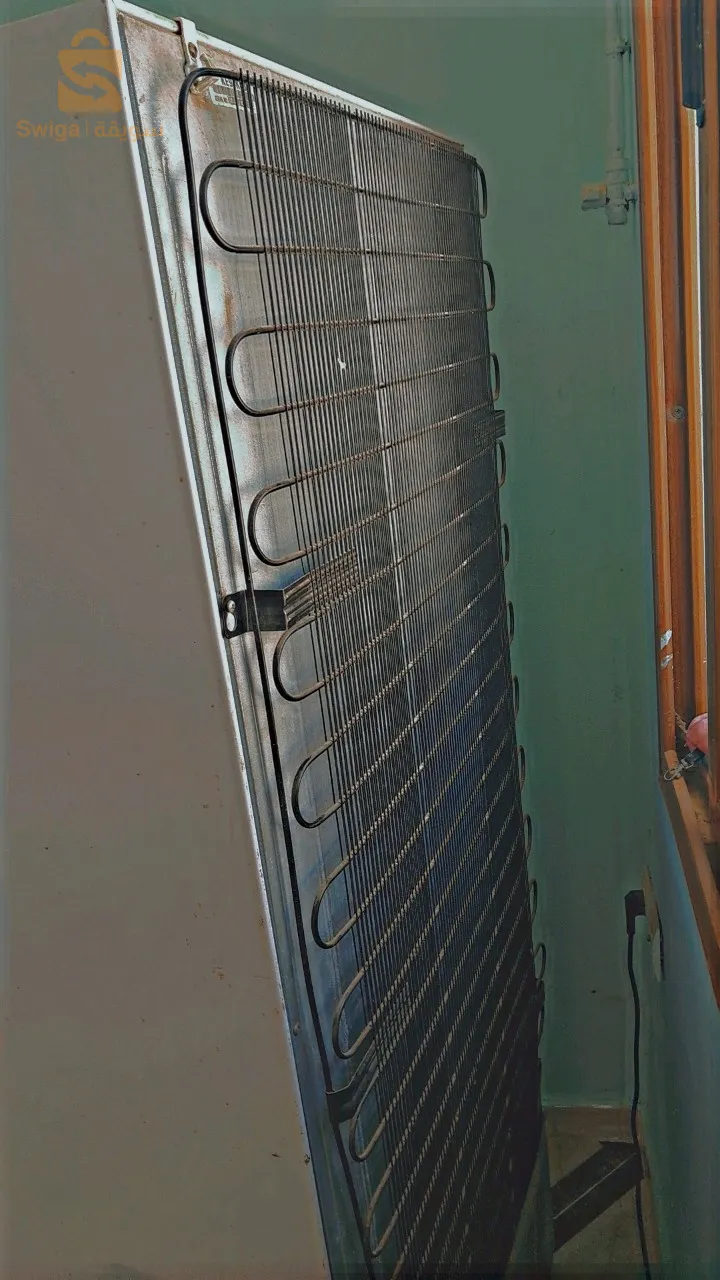 بلدية مجانة