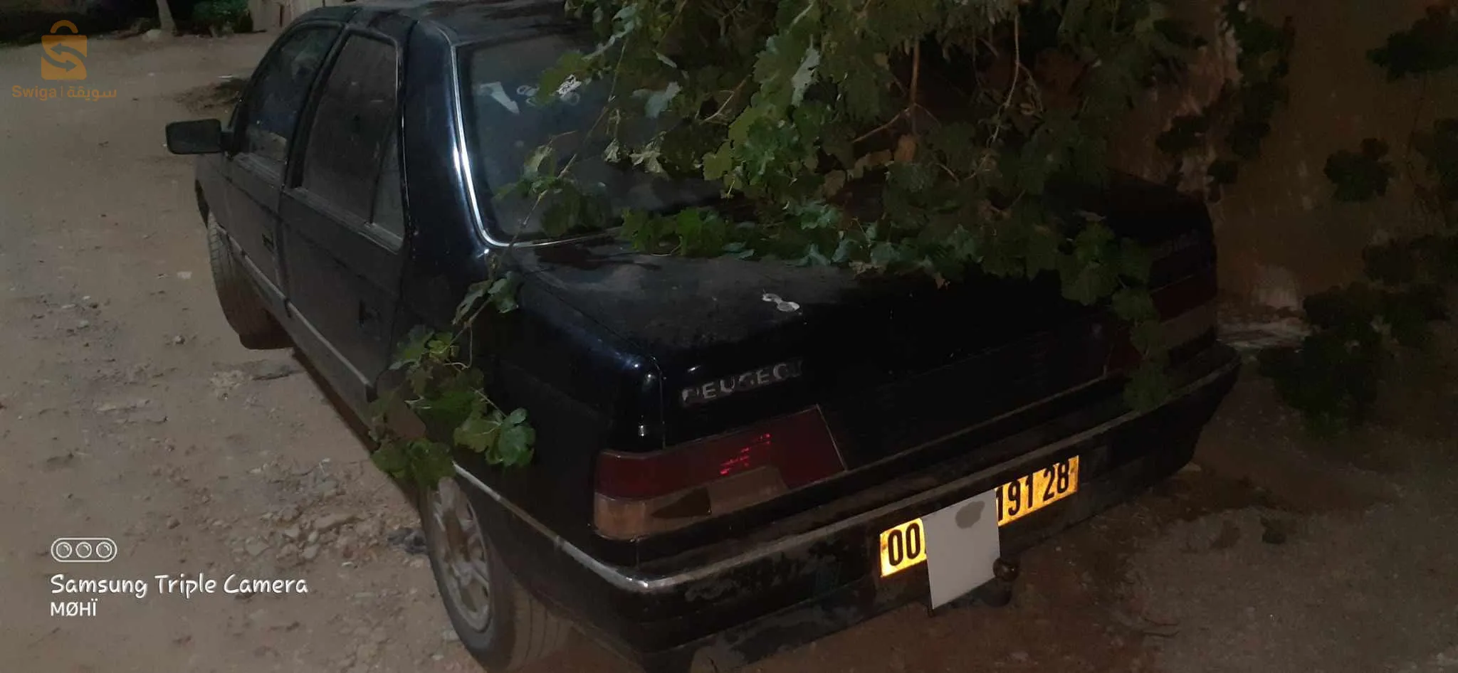 بوسعادة حي الوفاء عدل