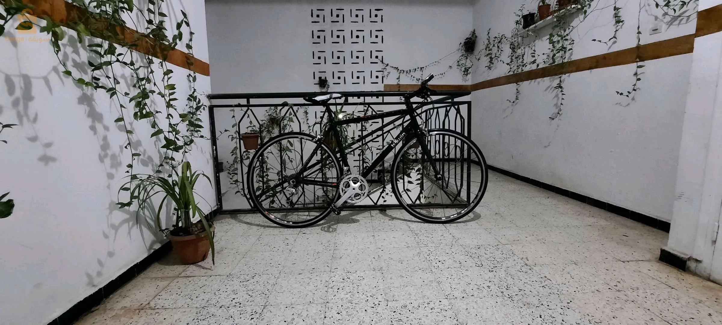Vélo demi-course