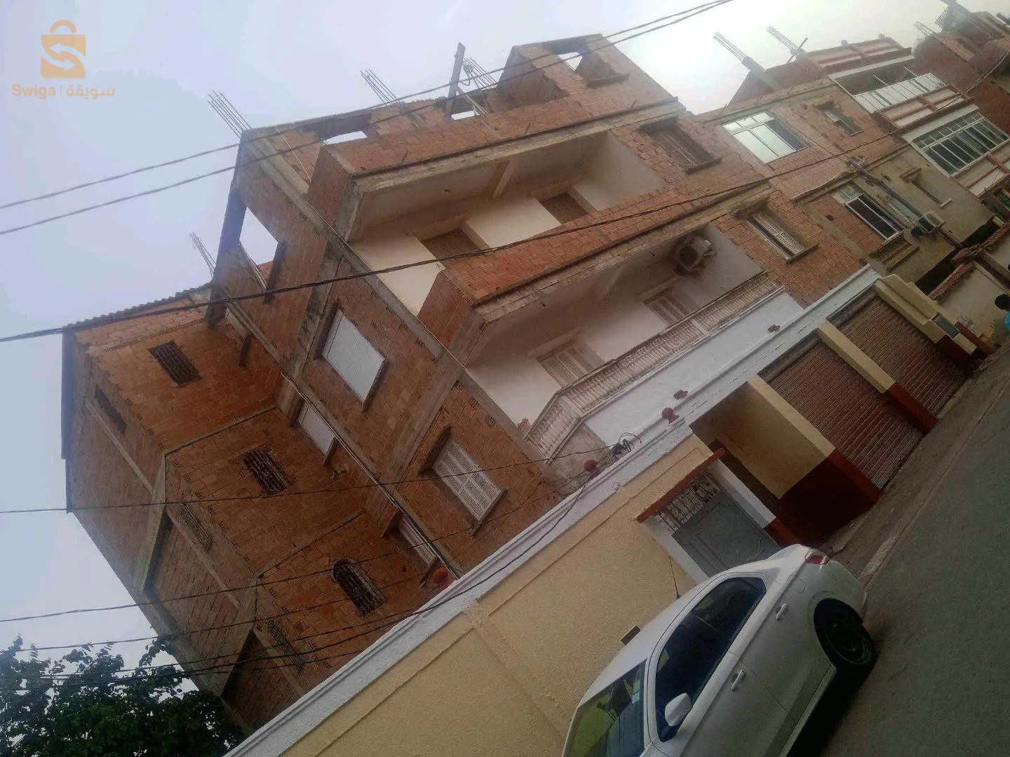 الجزائر