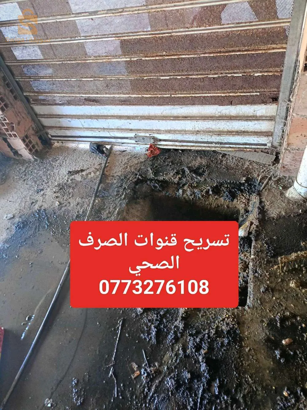 الجزائر الوسط