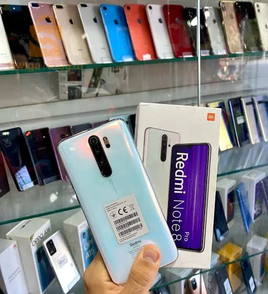 باتنة .بركا فو راج