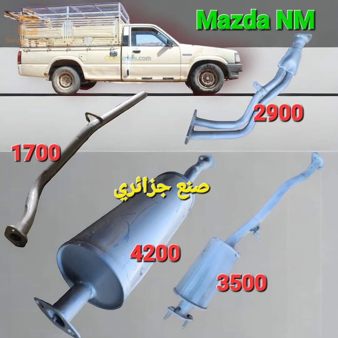 تركيب الشكمانات والكتاليزار وتنظيف وبرمجة FAP