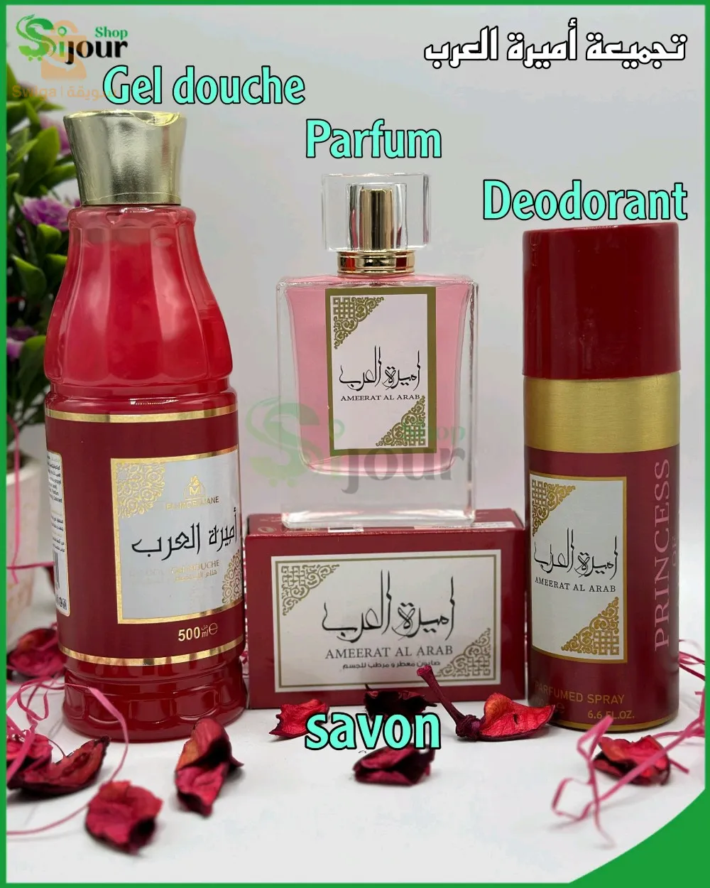 تجميعة اميرة العرب