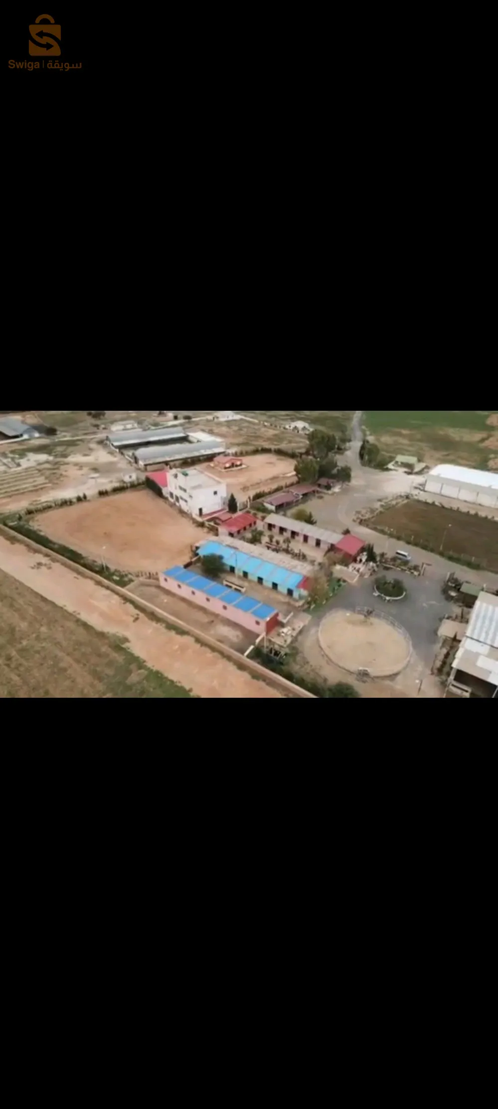 فيرمة فلاحية في عين تموشنت