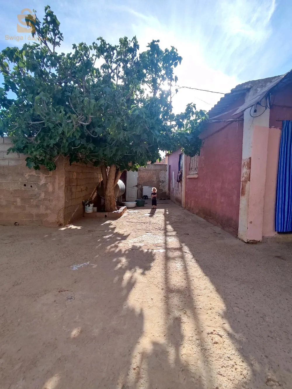 العلاوشة مستغانم