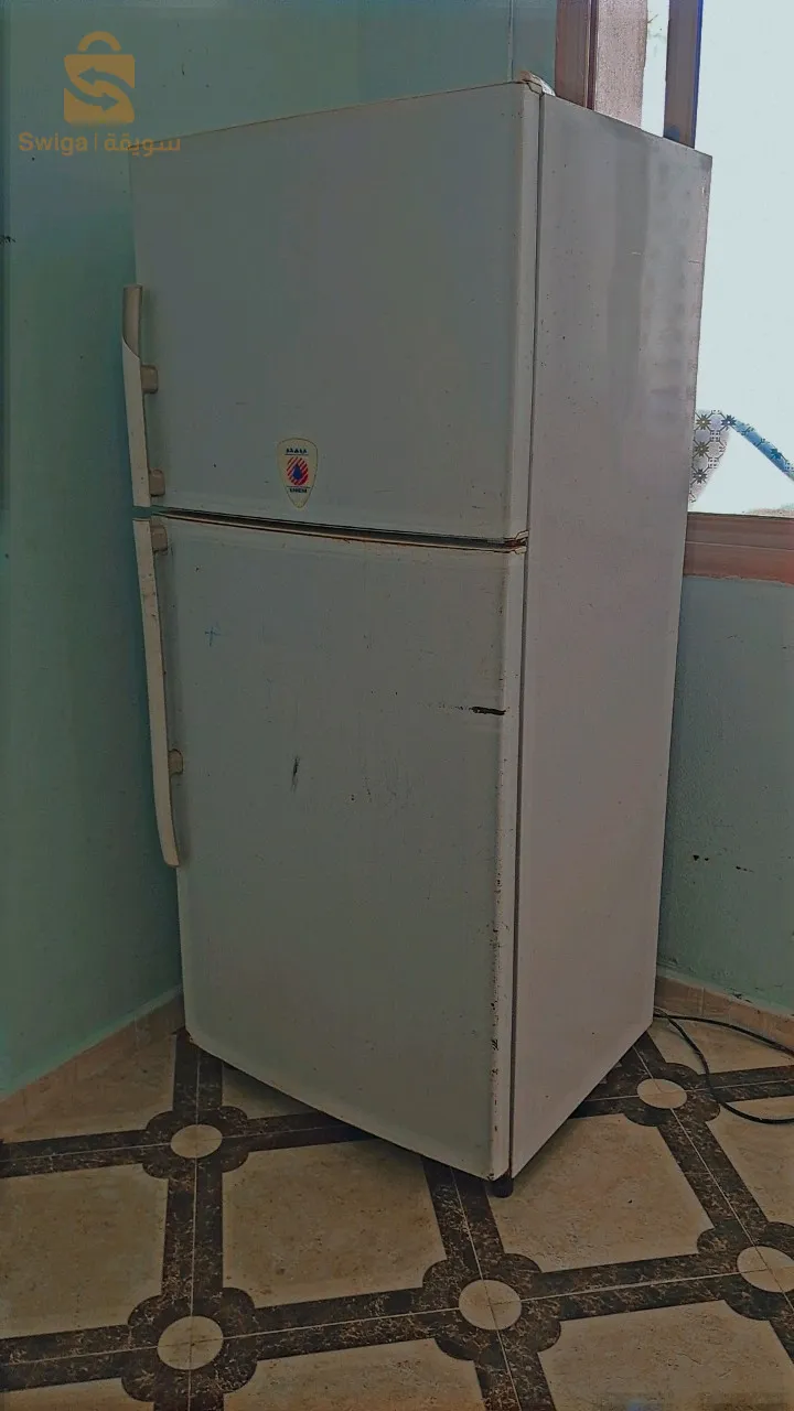 بلدية مجانة