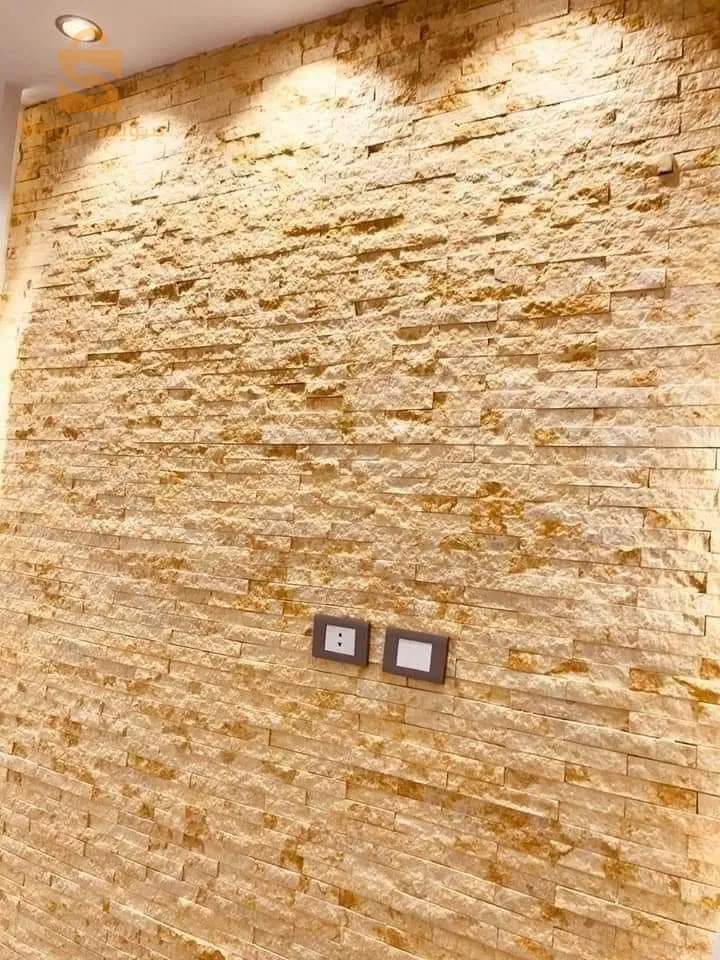 عين الدفلي