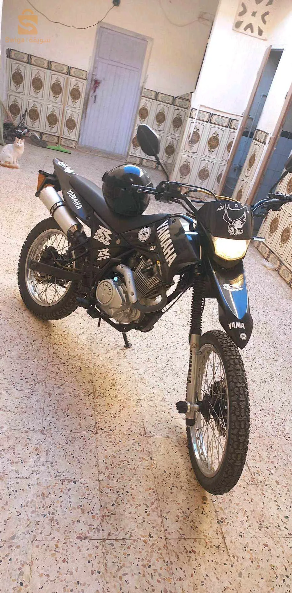 الاغواط