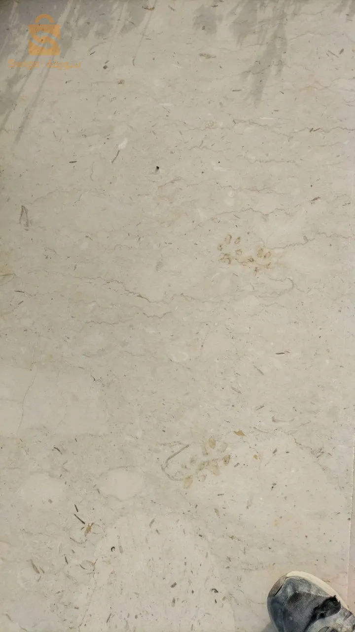 الفجوج قالمة