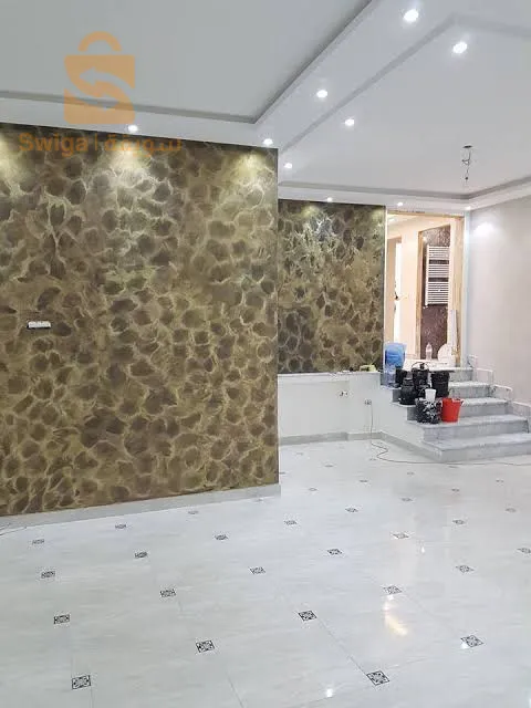 سبيغا بروفيسيونال
