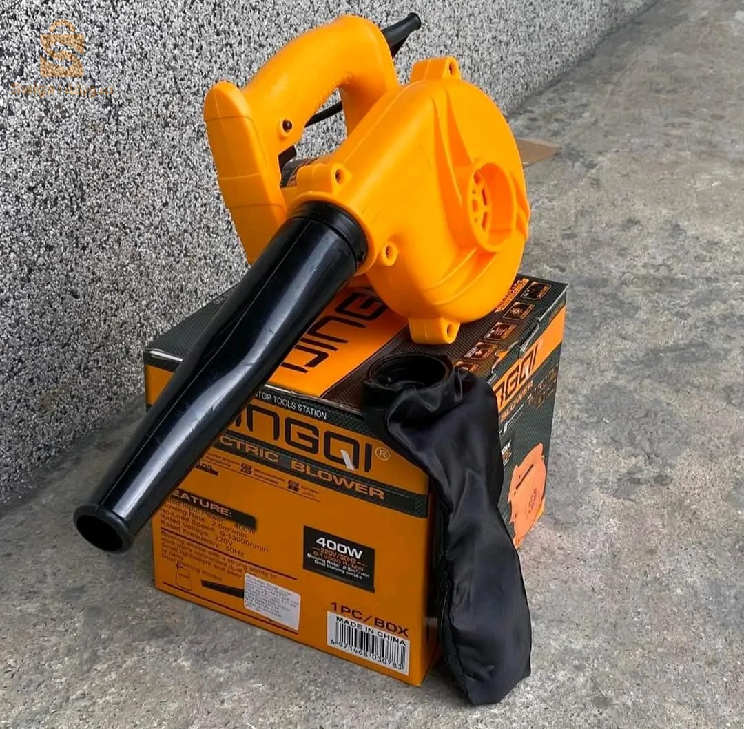 souffleur aspirateur DINGQI 400W