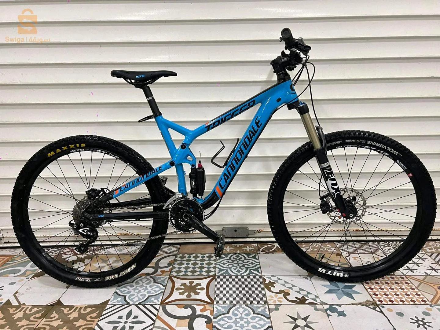 فيلو كانودال فرنسية