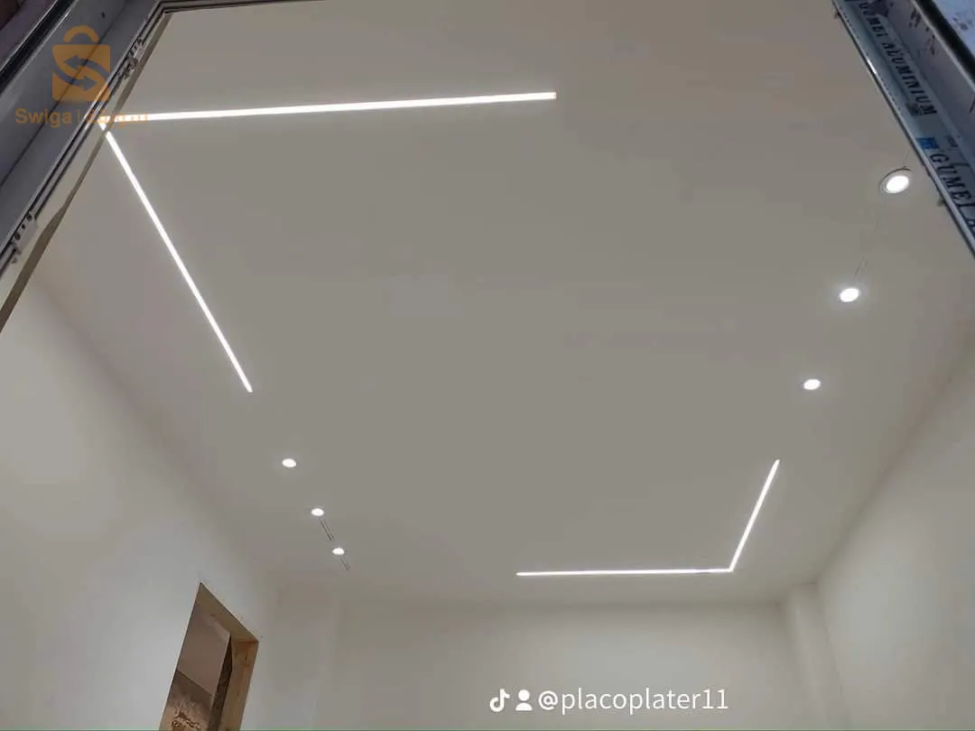 palcou paltr