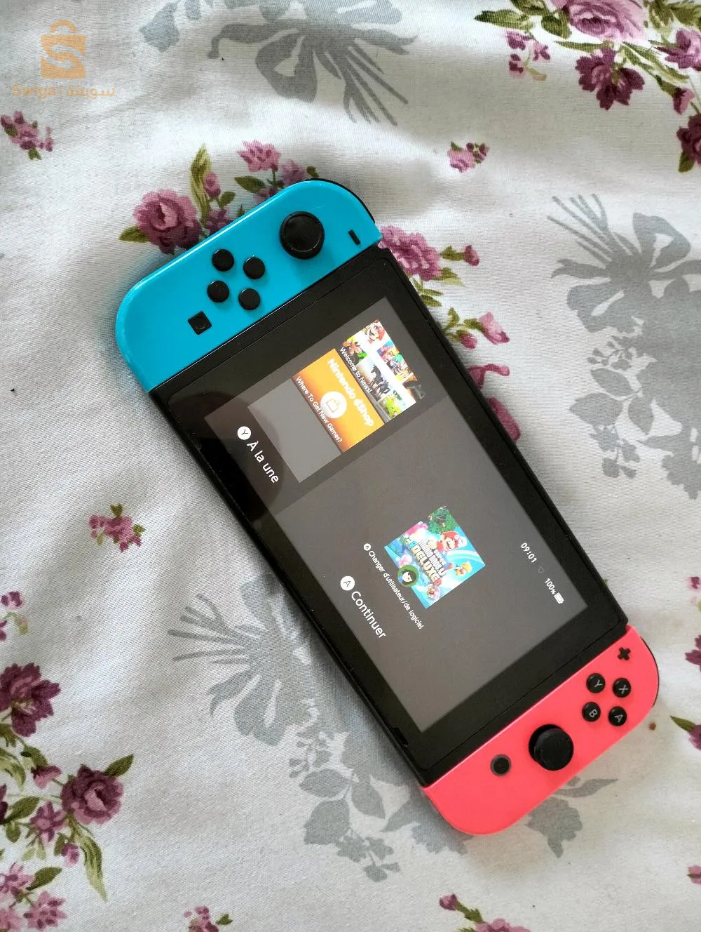 واد حميميم البشاكرة ، الخروب