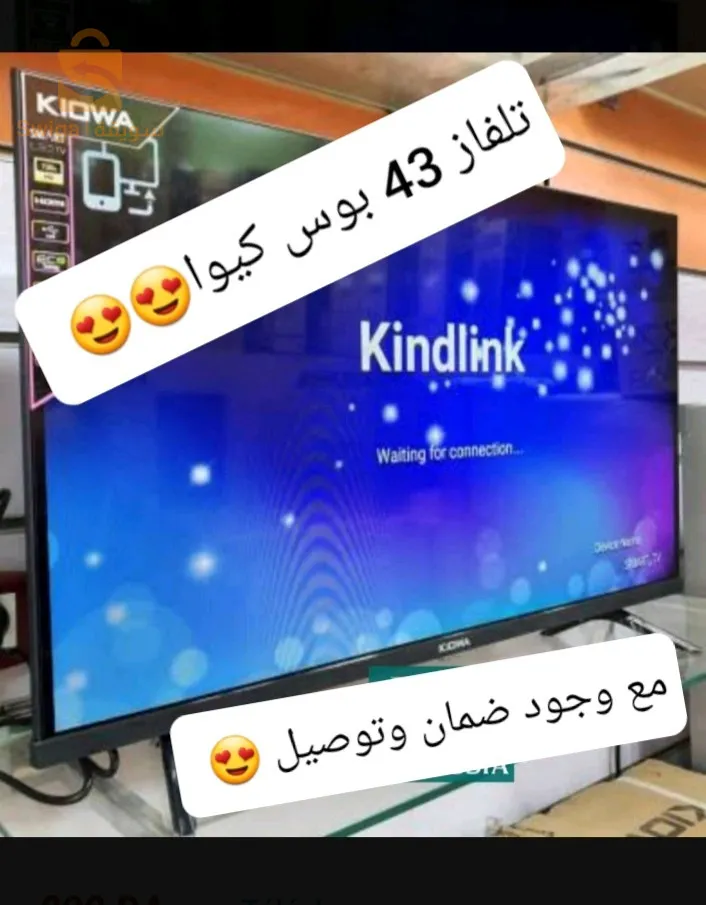 43 بوس كيوا