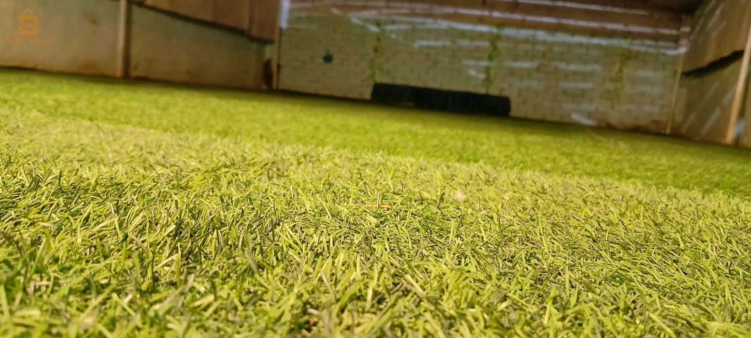 عشب إصطناعي