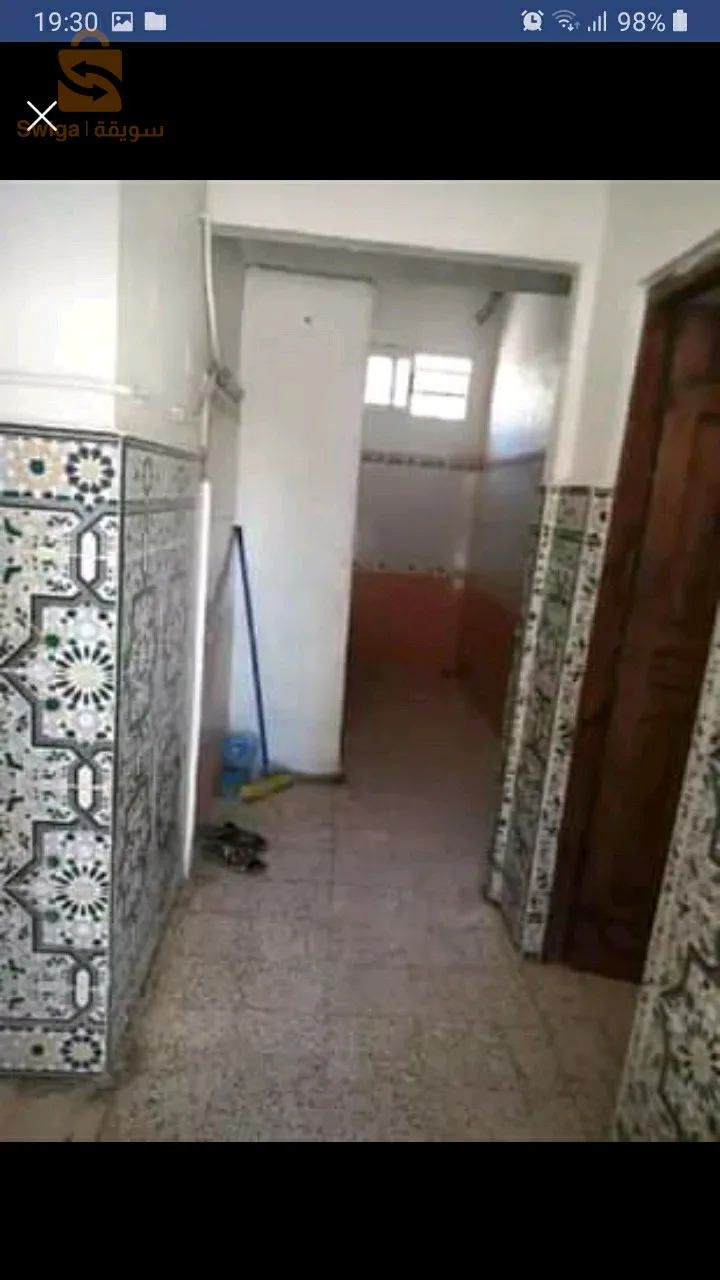 شقة