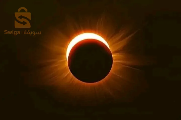 المدية