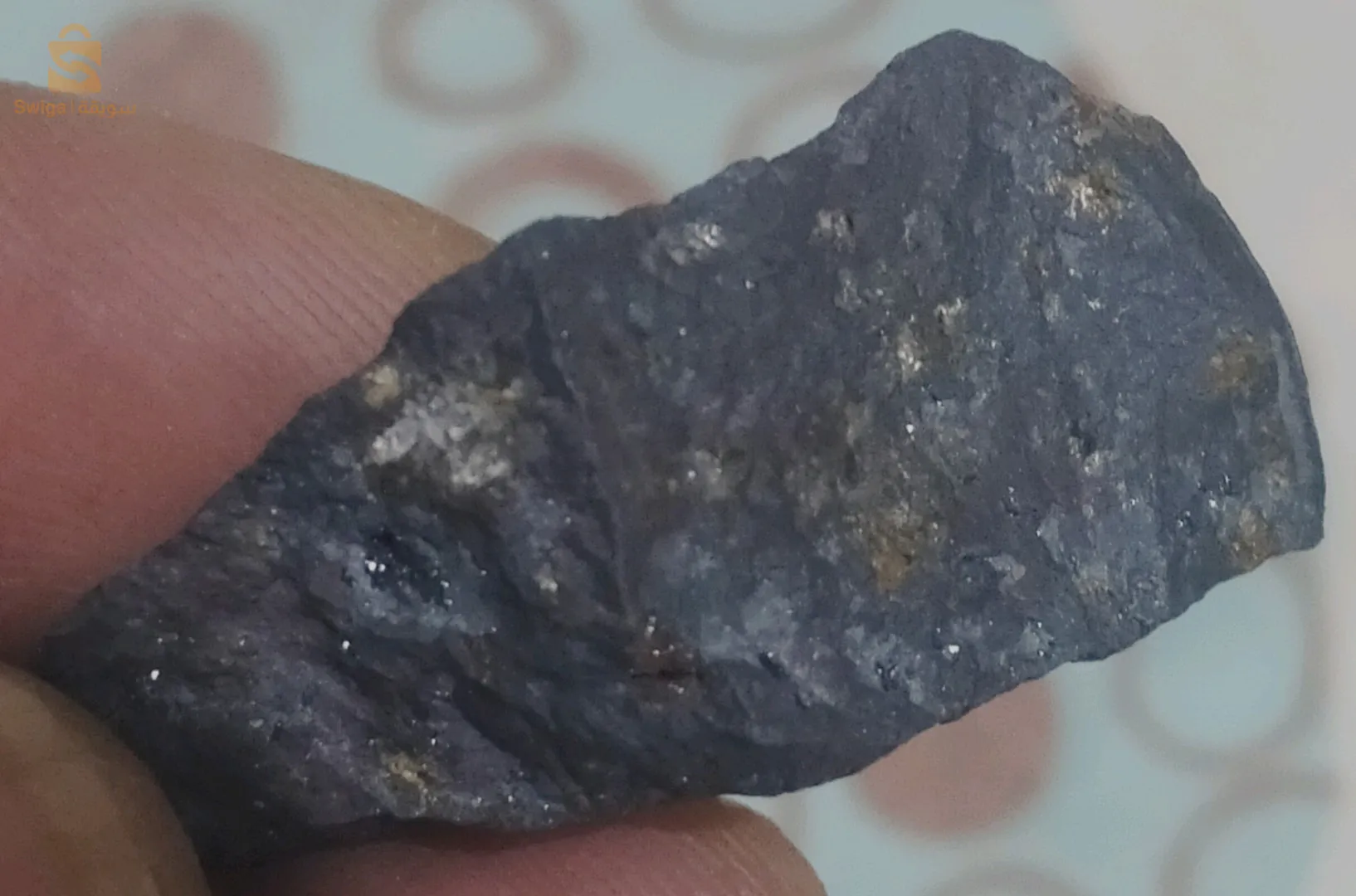 météorite trouver dans le Sahara au alentour de Béchar.