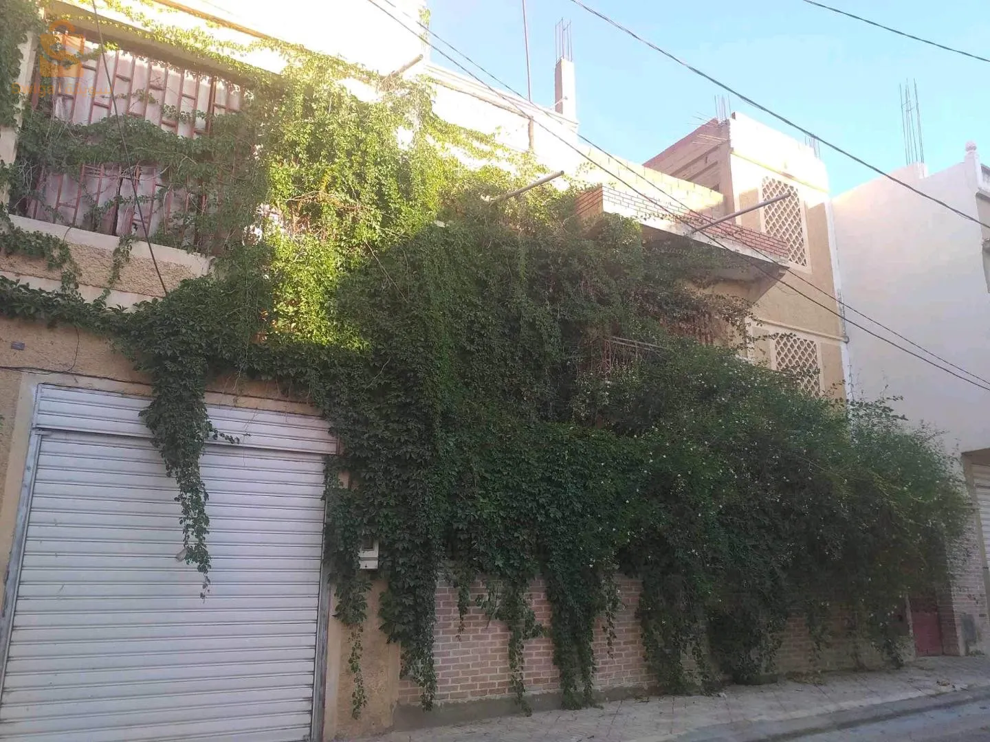 خنشلة