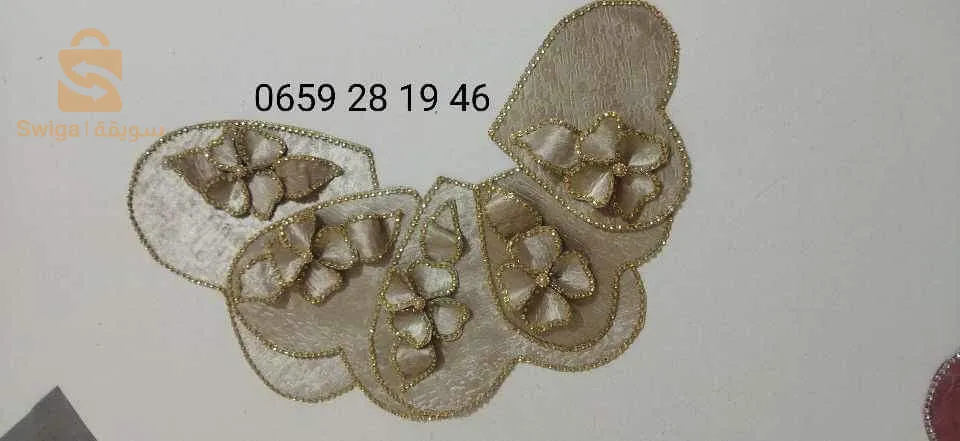 ناب كوافوز جديد  من نصدر نحن لاتوليي