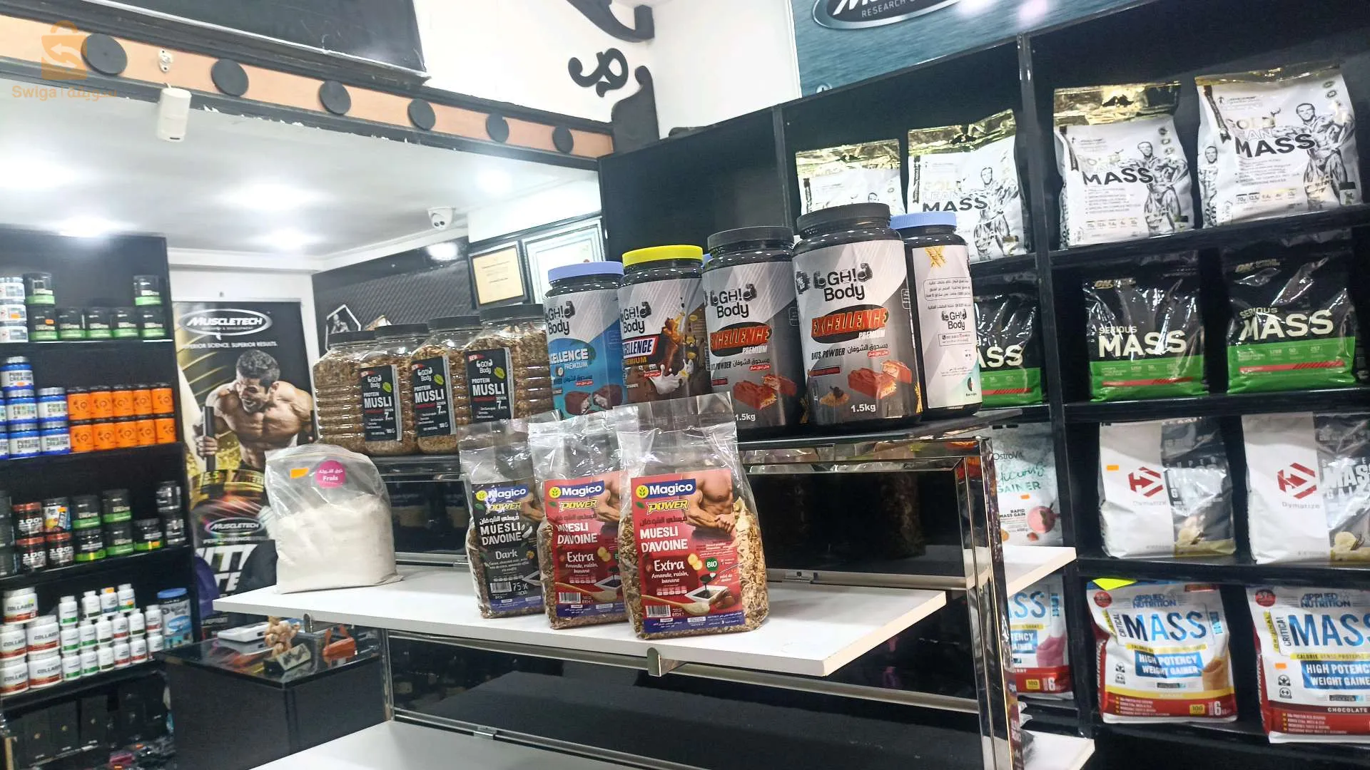 الجزائر